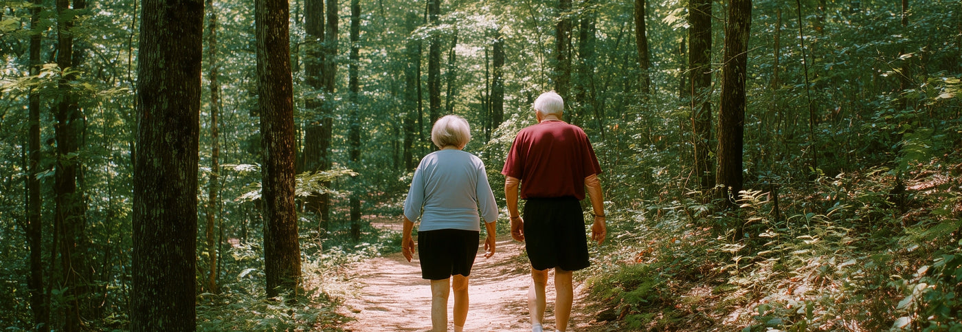 Two people walking through a forest on a sunny day