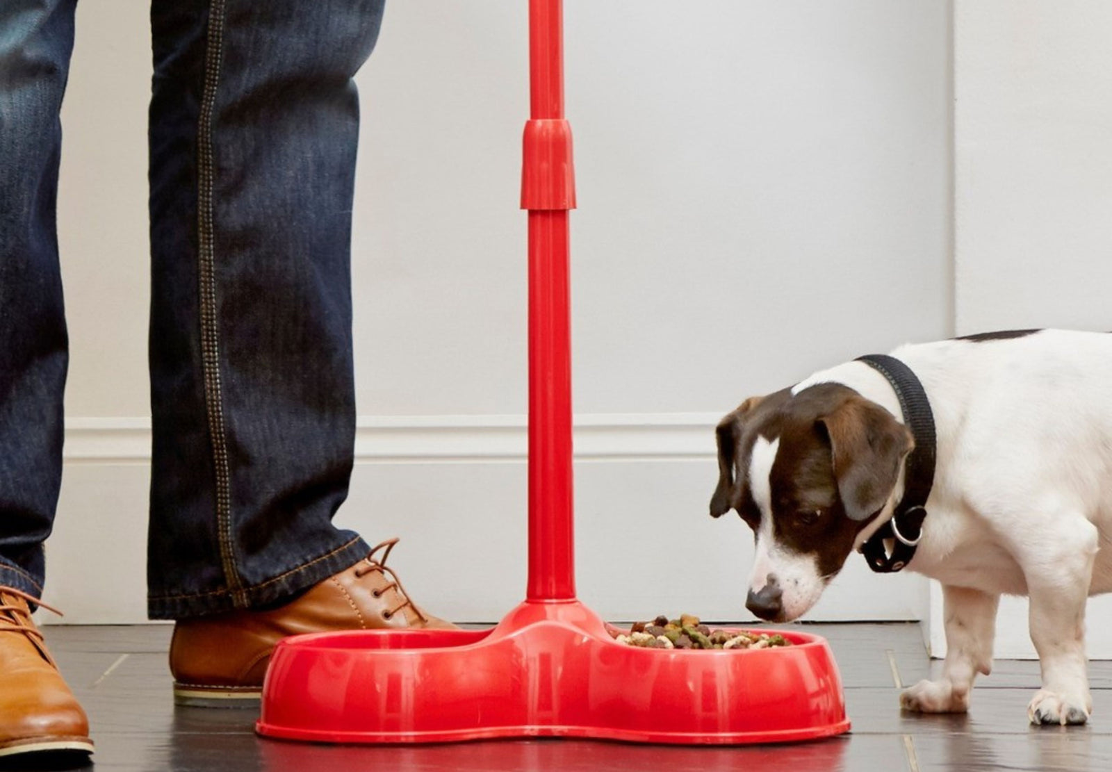 Using the No Bend Pet Bowl