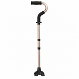 Stand By Me Cane