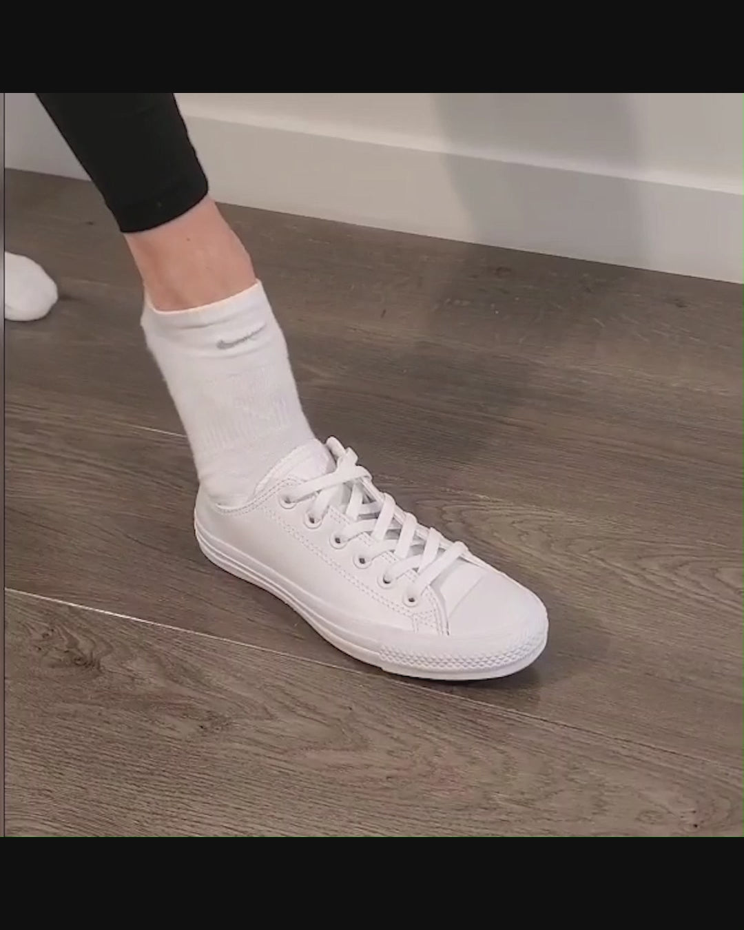 ShoeStik Shoehorn